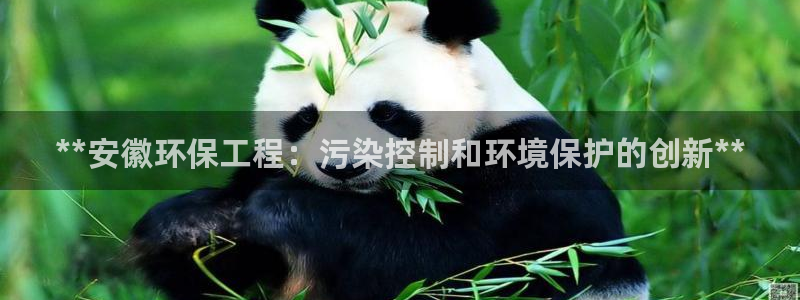 彩名堂计划技巧有哪些：**安徽环保工