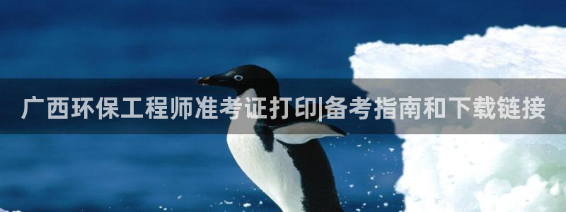 彩名堂预测：广西环保工程师准考证打印