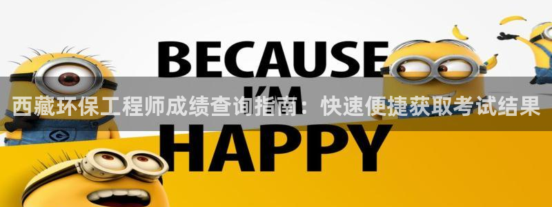 彩名堂平台：西藏环保工程师成绩查询指