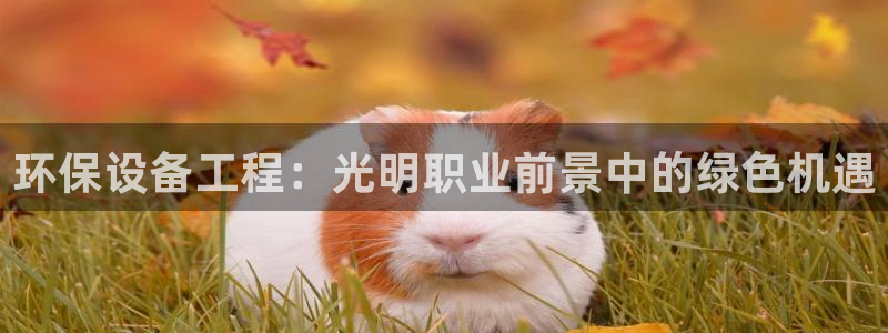 彩名堂旧版本：环保设备工程：光明职业