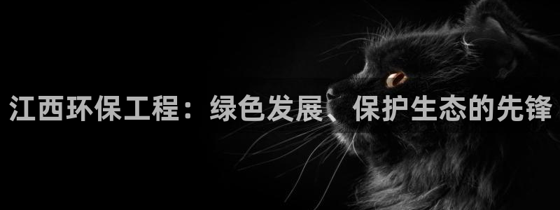 彩名堂APP下载：江西环保工程：绿色发展、保护生态的先锋