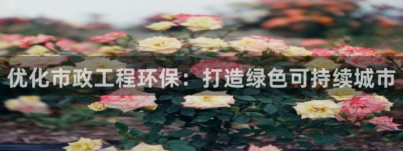 彩名堂的拼音：优化市政工程环保：打造