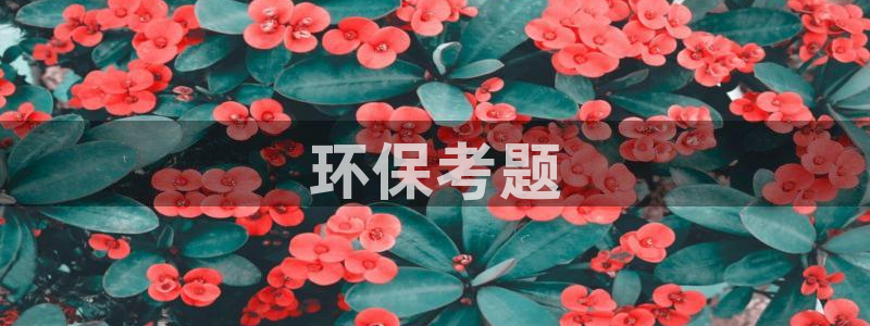彩名堂一直不出结果怎么回事儿：环保考题