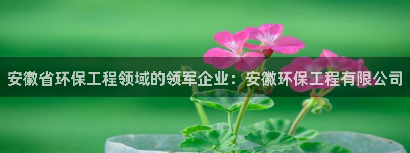 彩名堂官网在线计划怎么不更新了：安徽
