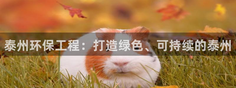彩名堂彩：泰州环保工程：打造绿色、可