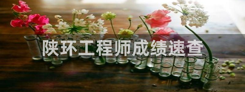 彩名堂50版本计划：陕环工程师成绩速