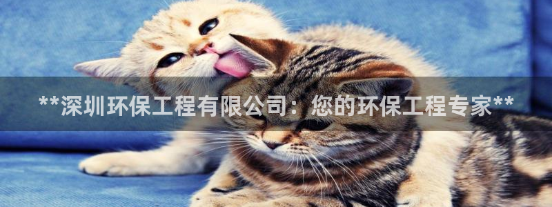 彩名堂图片：**深圳环保工程有限公司