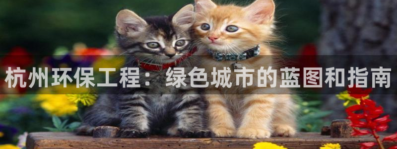 彩名堂苹果客户端：杭州环保工程：绿色城市的蓝图和指南