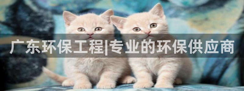 彩名堂app官网：广东环保工程|专业