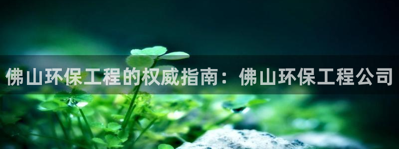 彩名堂客户：佛山环保工程的权威指南：