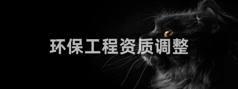 彩名堂官网计划01：环保工程资质调整