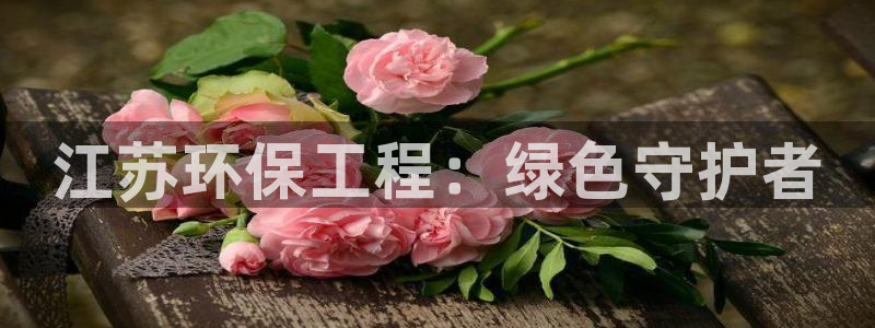 彩名堂官网网页计划：江苏环保工程：绿