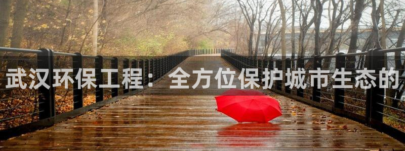 彩名堂怎么样：武汉环保工程：全方位保
