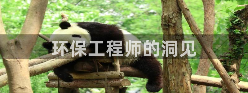 彩名堂免费计划官网怎么进不去了呀：环