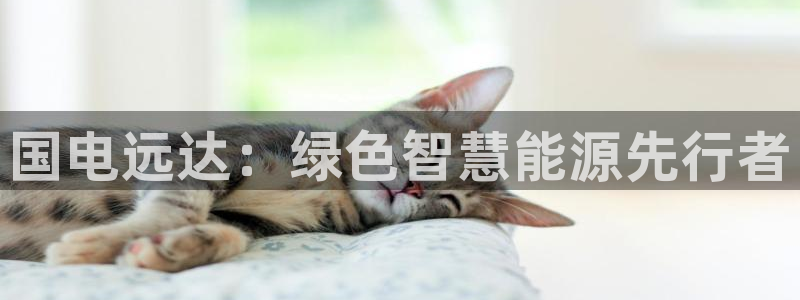 彩名堂5.0计划永久免费版为什么下不