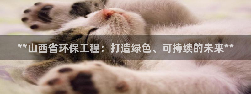 彩名堂计划怎么买胜率高：**山西省环