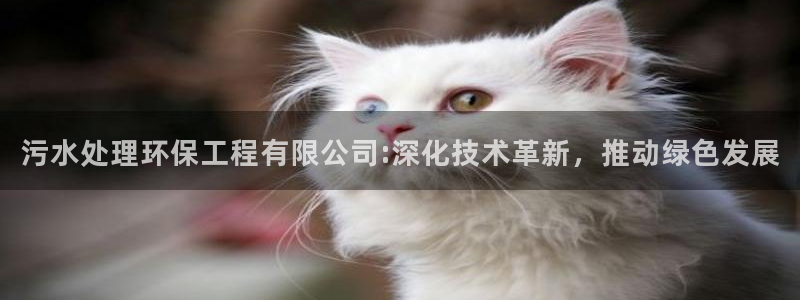 彩名堂免费计划5.0使用方法是什么：