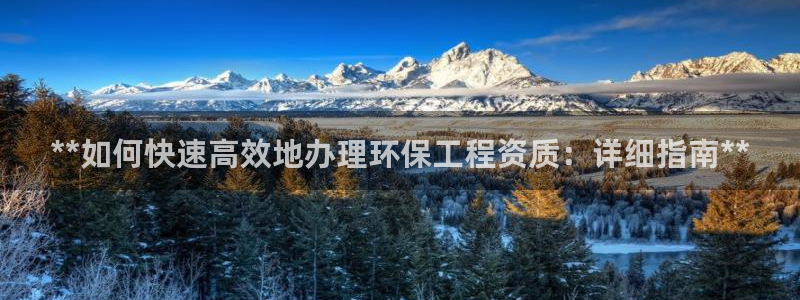 彩名堂下载官网：**如何快速高效地办