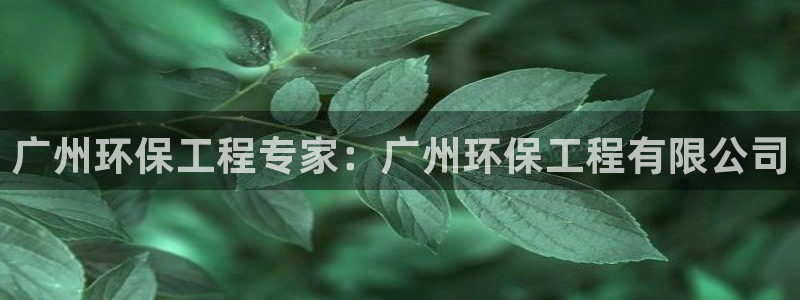彩名堂计划怎么看：广州环保工程专家：