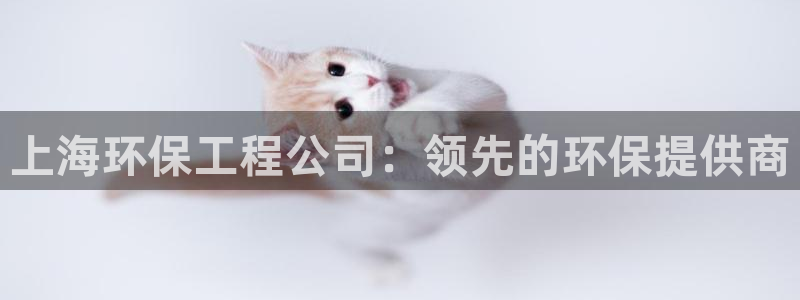 彩名堂官方平台：上海环保工程公司：领