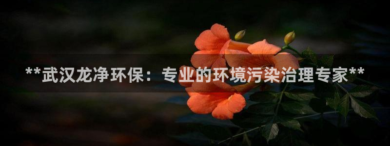 彩名堂免费计划客户端官网：**武汉龙