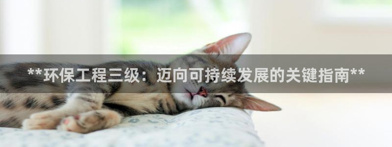 彩名堂怎么买准确率高一点：**环保工程三级：迈向可持续发展的关键指南**