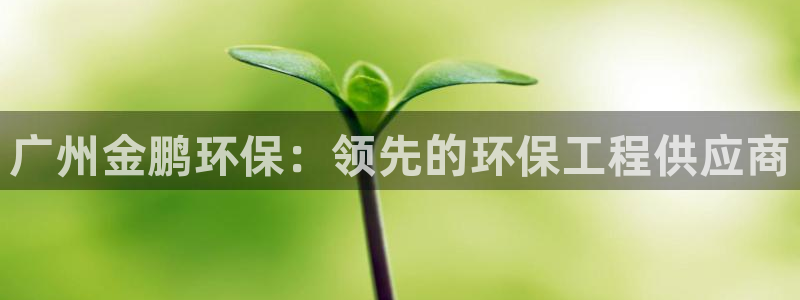 彩名堂改名稻草人了吗：广州金鹏环保：