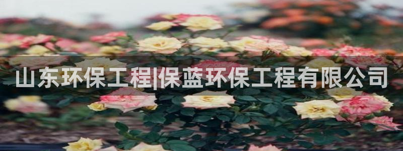 彩名堂安卓客户端官网下载安装：山东环