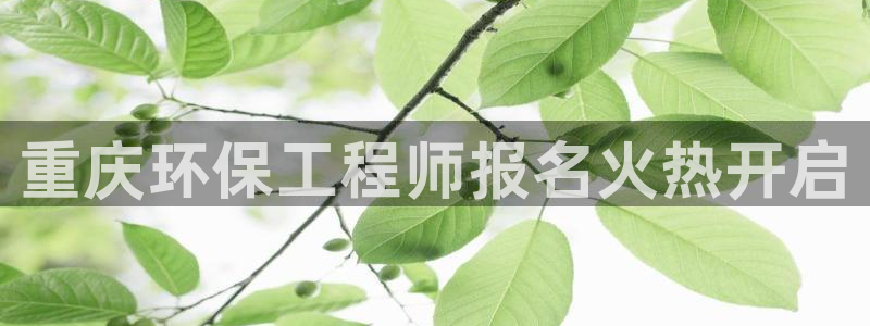 彩名堂官网计划怎么下载到手机：重庆环