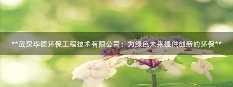 彩名堂安卓客户端官网：**武汉华德环