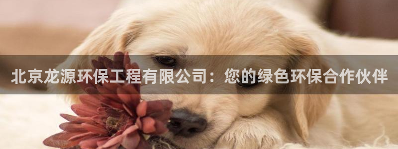 彩名堂APP下载：北京龙源环保工程有限公司：您的绿色环保合作伙伴