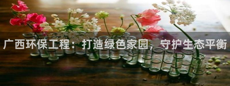 彩名堂v1.0.6：广西环保工程：打造绿色家园，守护生态平衡