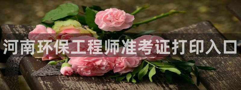 cmt彩名堂：河南环保工程师准考证打