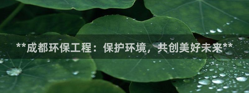 彩名堂官网网页计划：**成都环保工程：保护环境，共创美好未来**