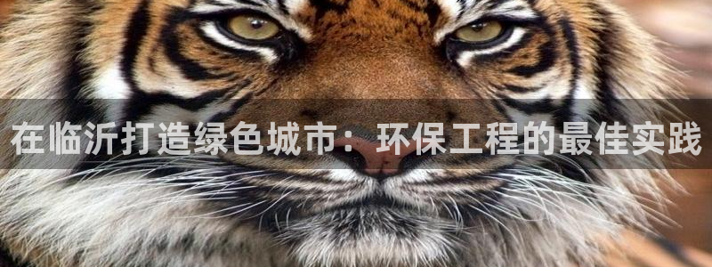 彩名堂计划技巧有哪些：在临沂打造绿色