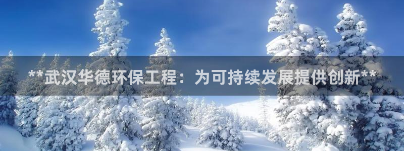 彩名堂为什么突然不能用了：**武汉华德环保工程：为可持续发展提供创新**