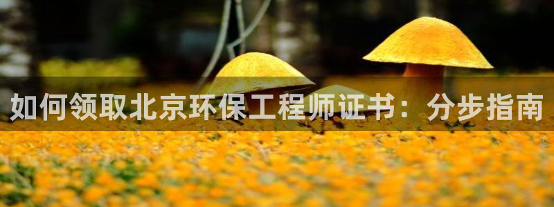 彩名堂是什么：如何领取北京环保工程师