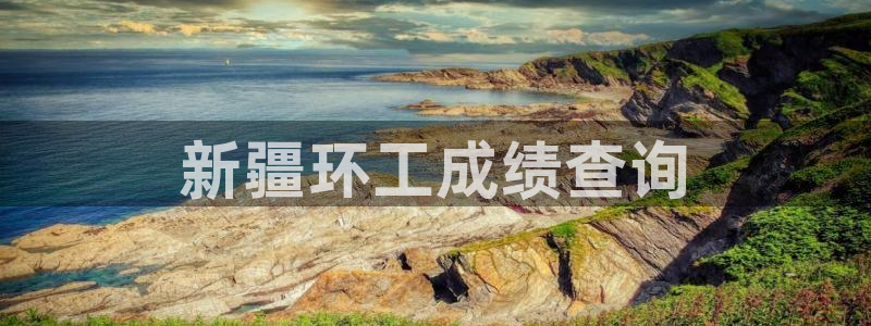 彩名堂计划软件下载：新疆环工成绩查询