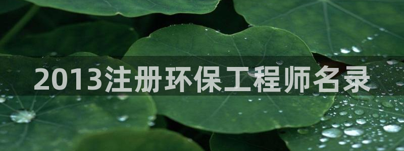 彩名堂官网2：2013注册环保工程师
