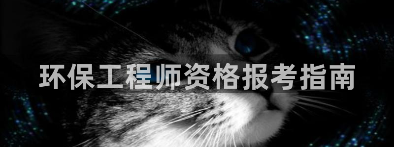 彩名堂是正规的公司吗：环保工程师资格