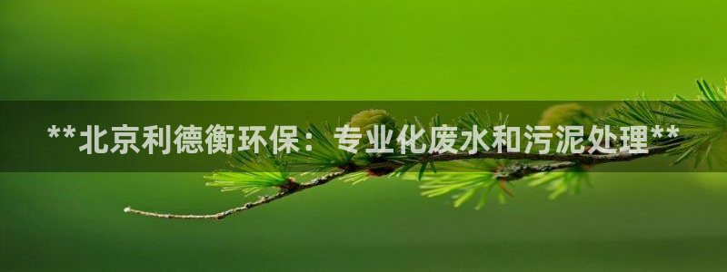 彩名堂双彩网：**北京利德衡环保：专