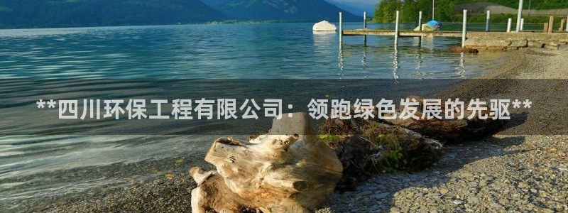彩名堂官方软件下载：**四川环保工程