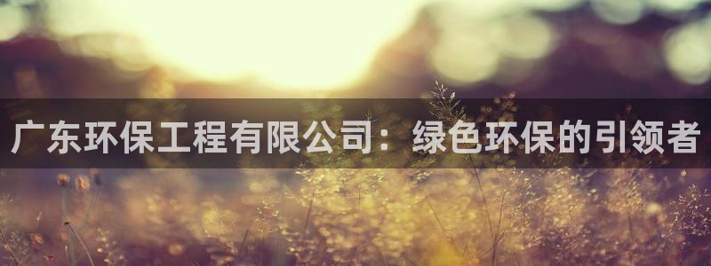彩名堂一直不出结果怎么回事呢：广东环保工程有限公司：绿色环保的引领者
