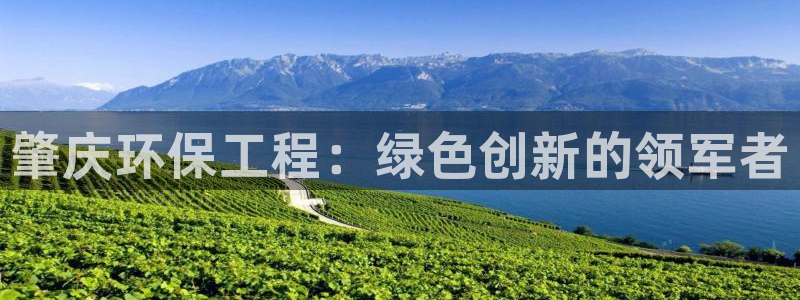 下载苹果手机版彩名堂：肇庆环保工程：