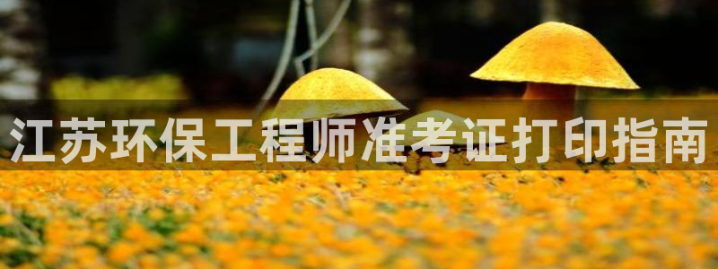 彩名堂开奖结果查询：江苏环保工程师准