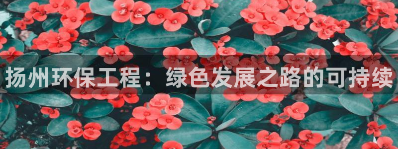 彩名堂手机客户端怎么下载：扬州环保工