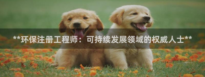 彩名堂预测官网：**环保注册工程师：