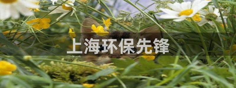 彩名堂免费计划官网5.0app：上海环保先锋