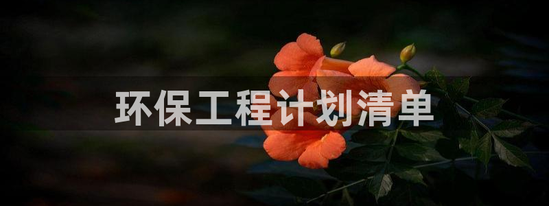 彩名堂跟哪种最好用：环保工程计划清单