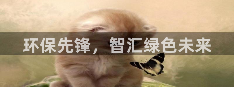 彩名堂怎么用不输：环保先锋，智汇绿色